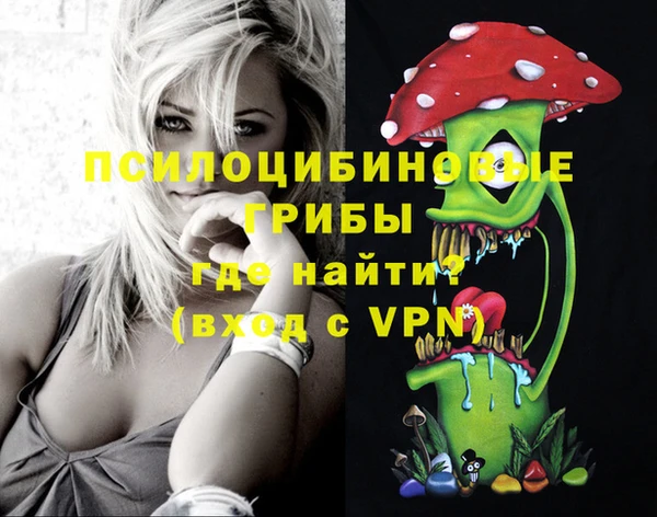 крисы Алексеевка