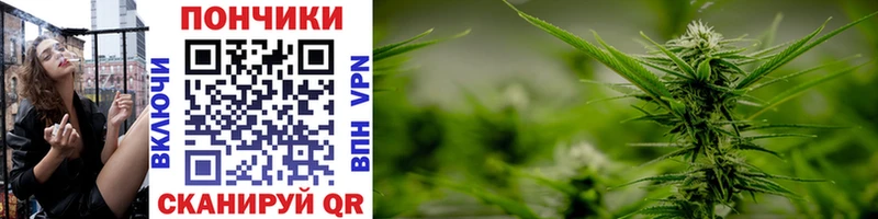 Шишки марихуана SATIVA & INDICA hydra Ивдель наркошоп